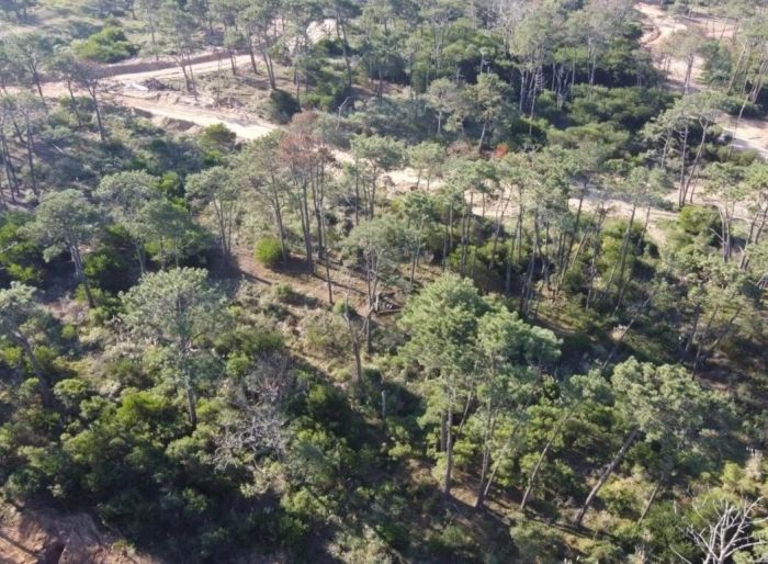 imagen  de la propiedad 167978