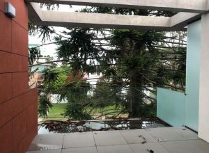 imagen  de la propiedad 2201