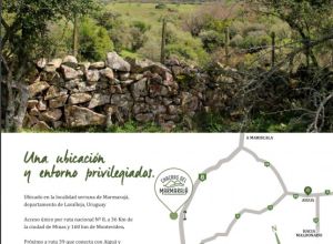 imagen  de la propiedad 706