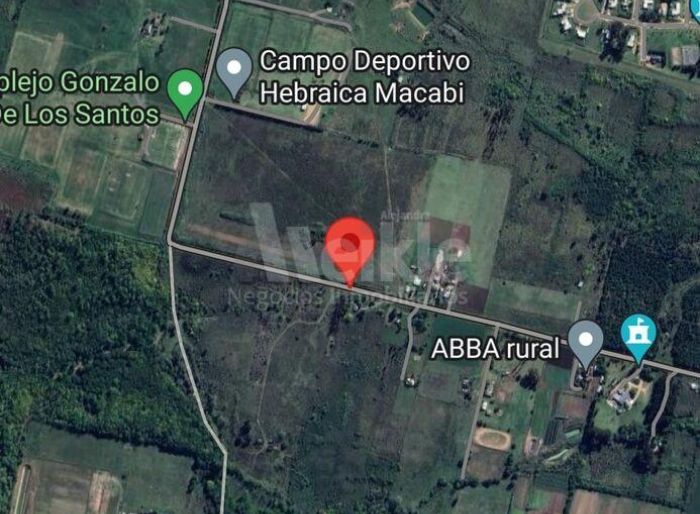 imagen  de la propiedad 111006