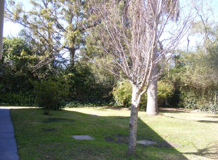 imagen  de la propiedad 175352