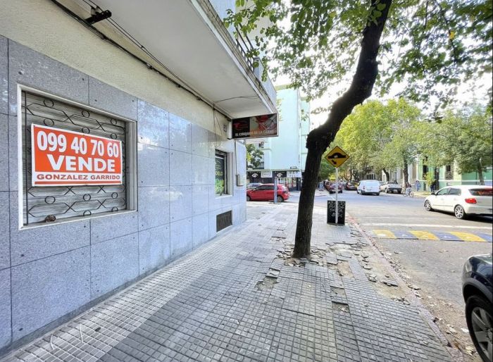 imagen  de la propiedad 163145