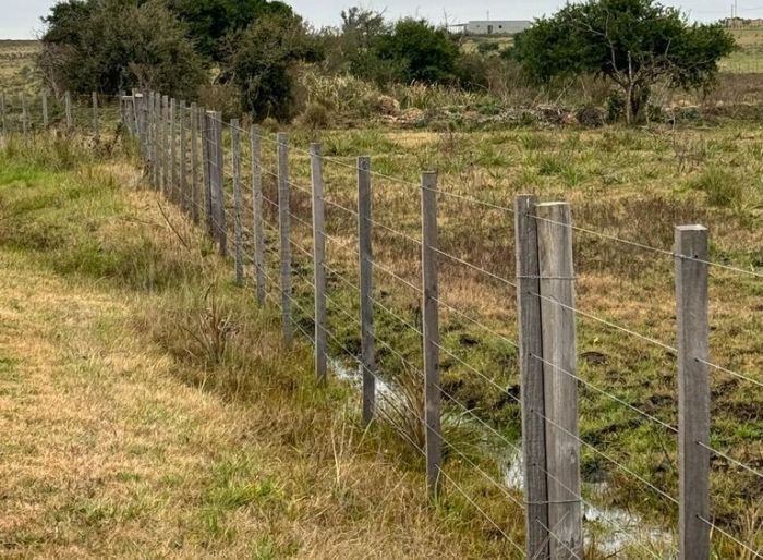 imagen  de la propiedad 172510