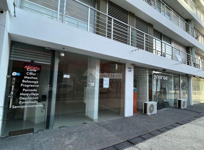 imagen  de la propiedad 176606
