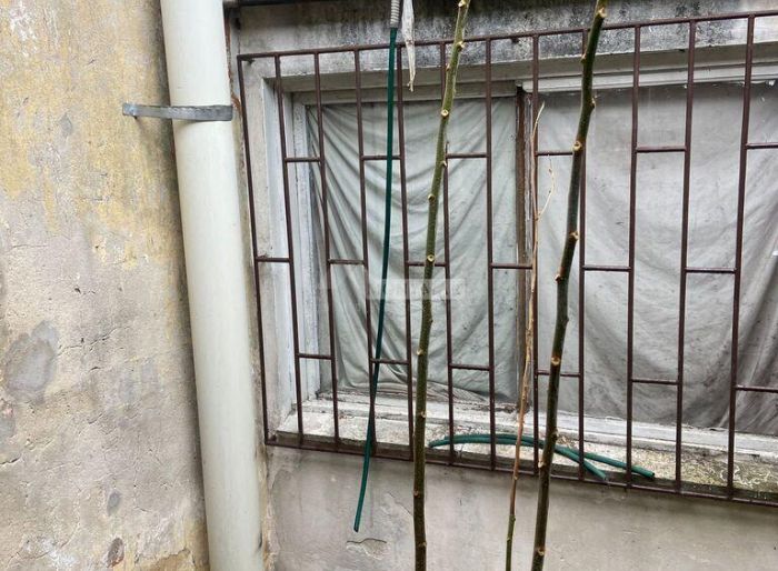 imagen  de la propiedad 183039