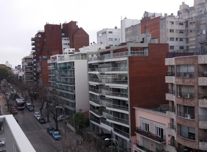 imagen  de la propiedad 34079