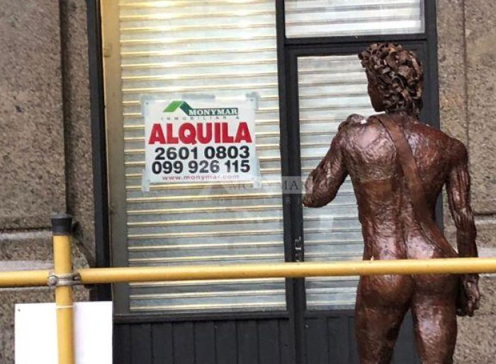 imagen  de la propiedad 5288