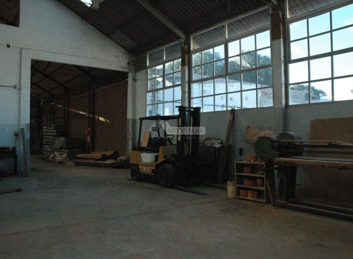 imagen  de la propiedad 5303