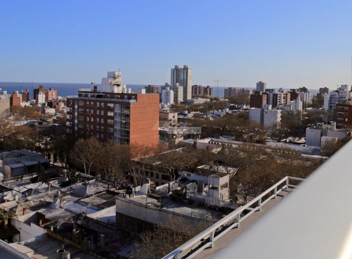 imagen  de la propiedad 5329