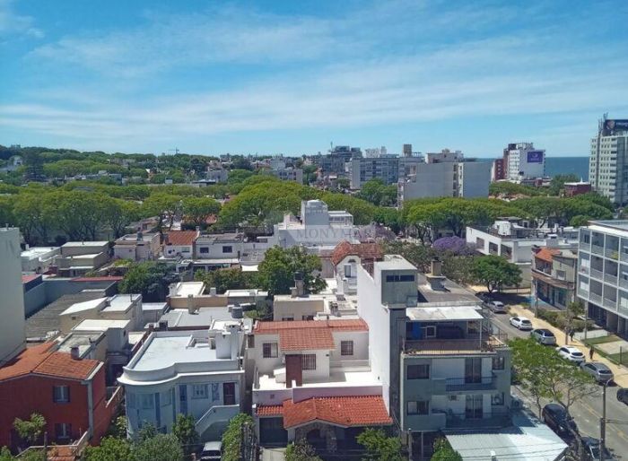 imagen  de la propiedad 5451