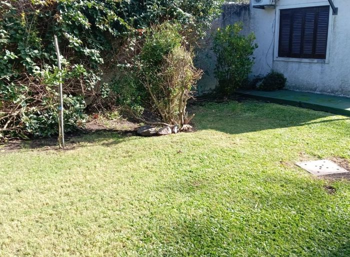 imagen  de la propiedad 158906